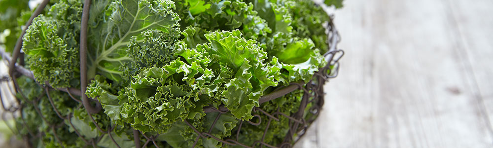 The MIND diet highlights ten “brain healthy” foods including dark leafy greens.