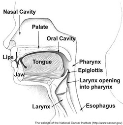 Eosinophilic Esophagitis can be improved with sublingual immunotherapy (allergy drop) treatment using the La Crosse Method Protocol.