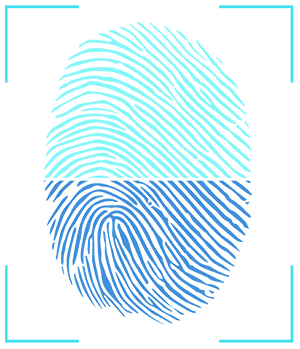 Fingerprint