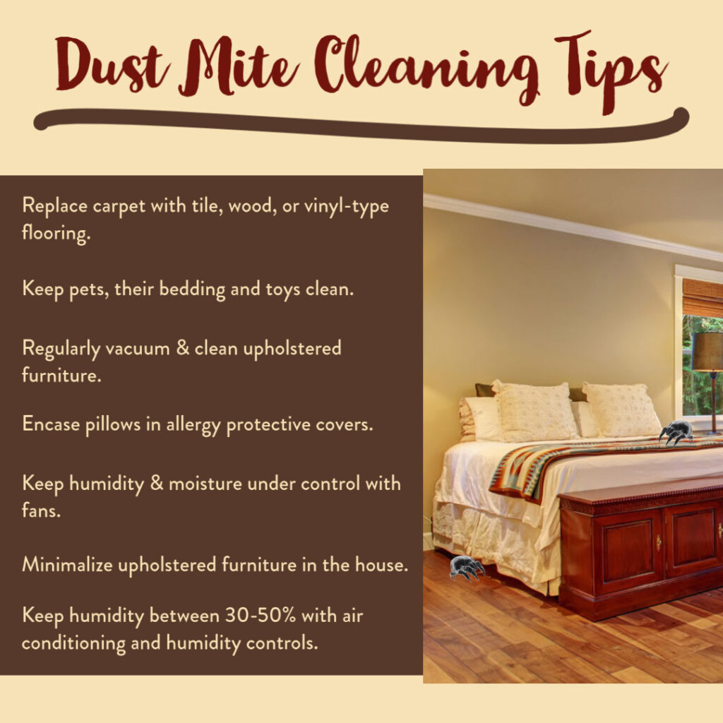 Dust Mite Allergy and Treatment Options Allergychoices