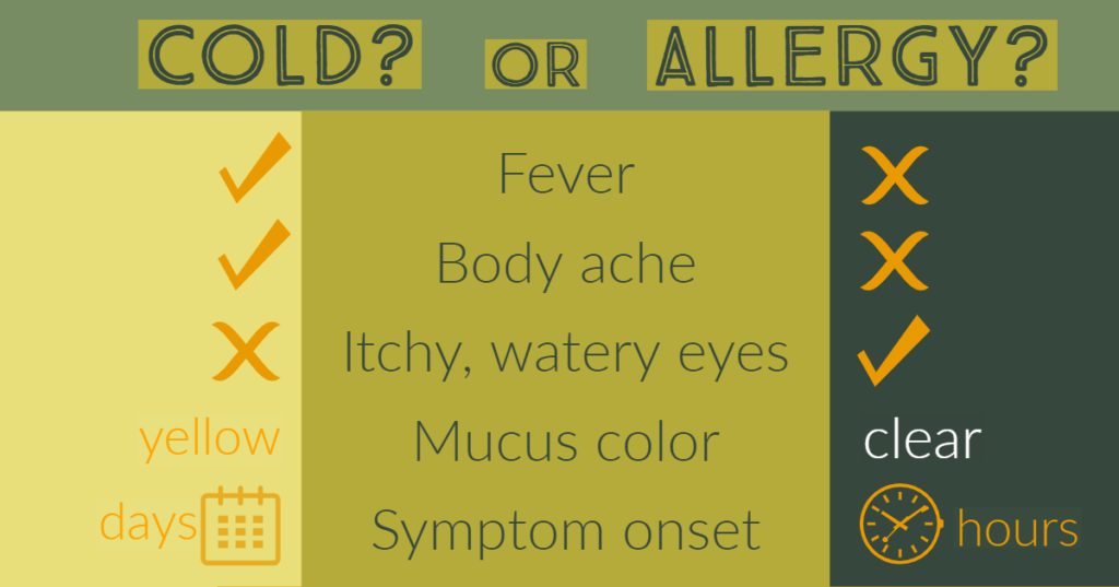 Allergic Rhinitis (Hay Fever) Allergychoices