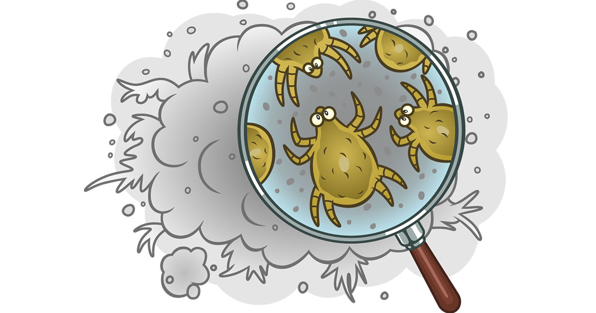 Dust Mite Allergies: How To Treat Dust Mite Allergy