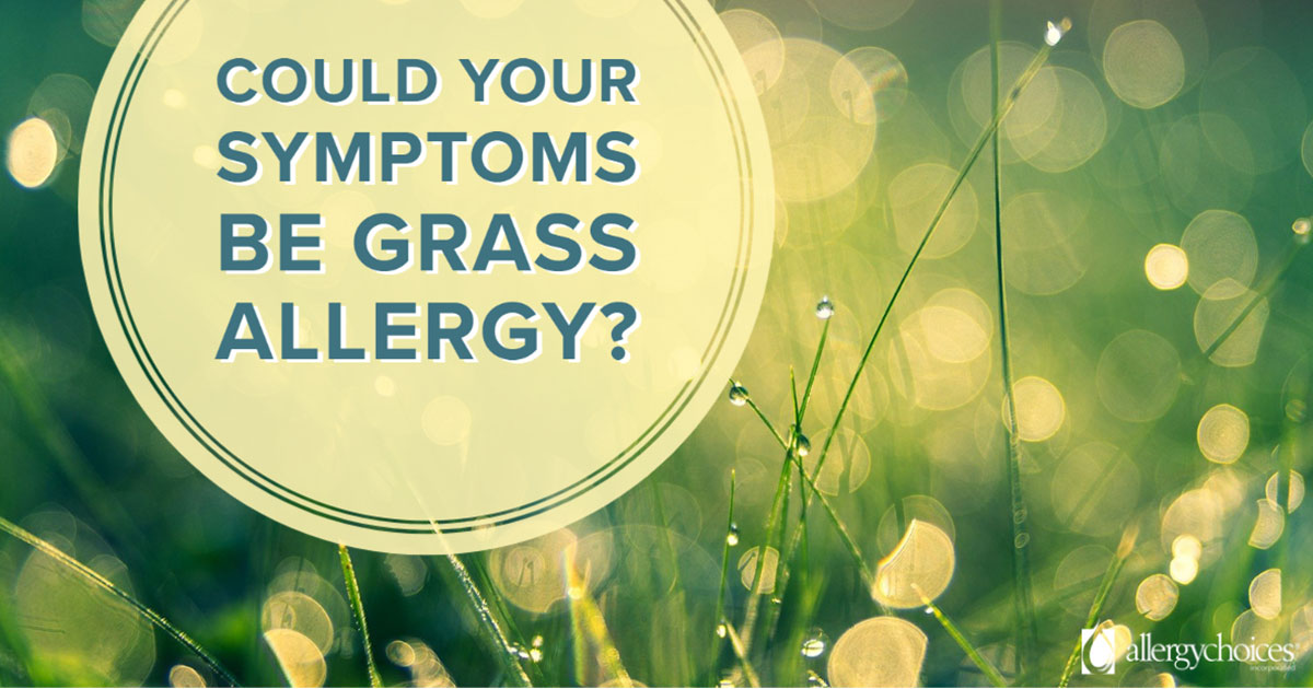 Grass Allergies Allergychoices
