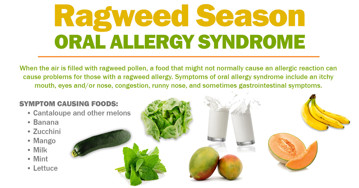 Alergia a la lechuga