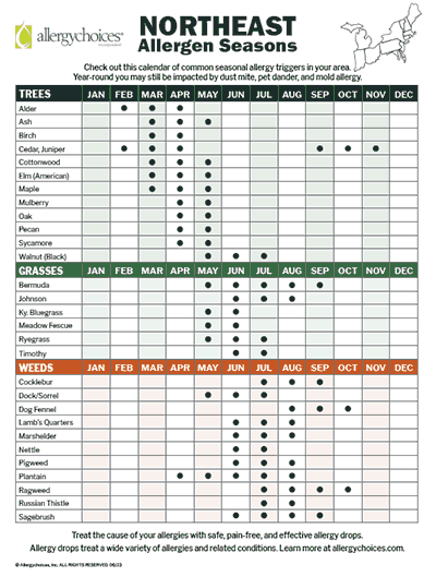 Northeast United States Allergen Seasons