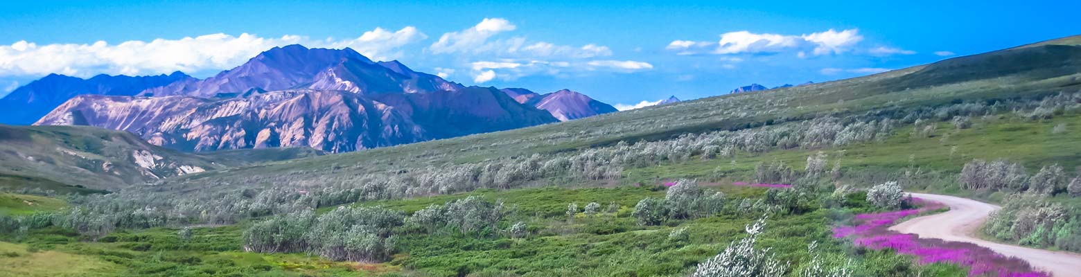 Alaska Pollen Seasons