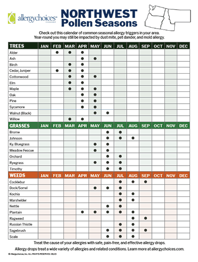 Chart showing pollen seasons in Idaho, Montana, Oregon, Washington