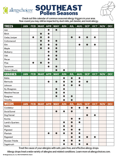 What You Need to Know About Pollen Allergies, ENT of Georgia North