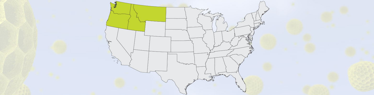 Northwest pollen seasons