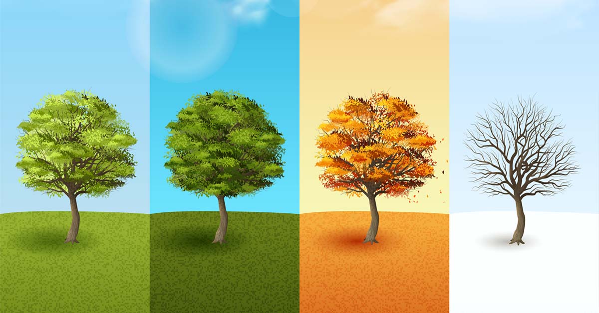 Pollen Allergy Seasons United - Pollen Seasons United States 