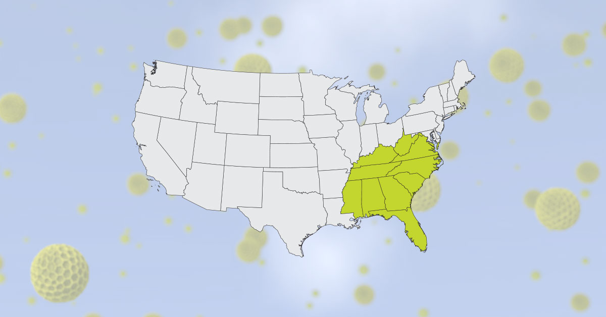 Pollen Allergy Seasons Southeast United States