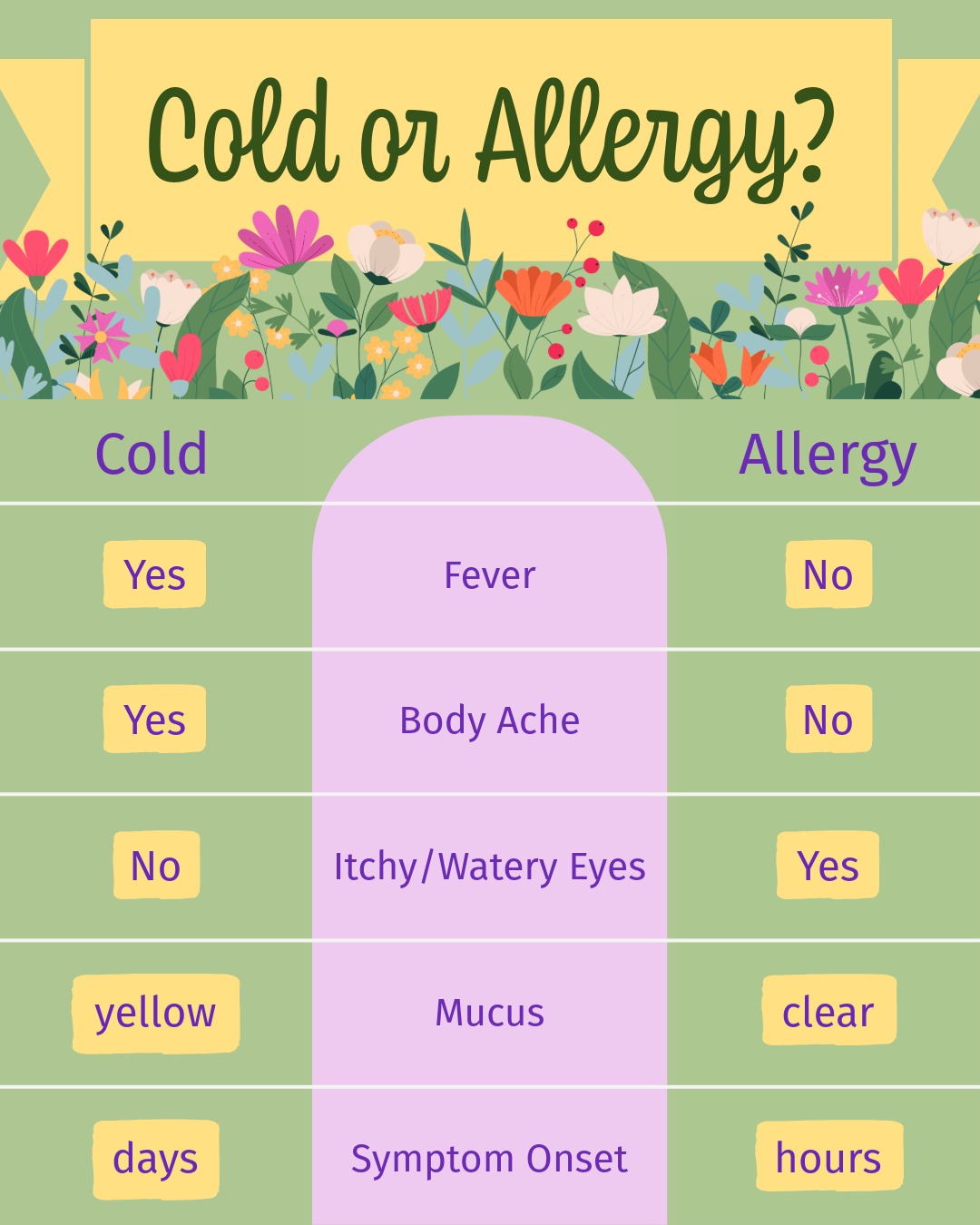 spring cold or allergy