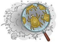 9-14-22-Fall-Allergy-Dust-Mite