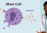 Mast Cell Header