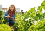 gardening header