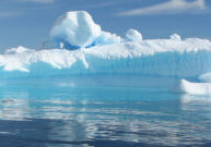 iceberg-cover-image