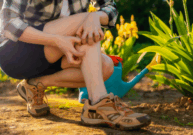 itch-header