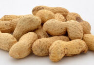 peanut-study